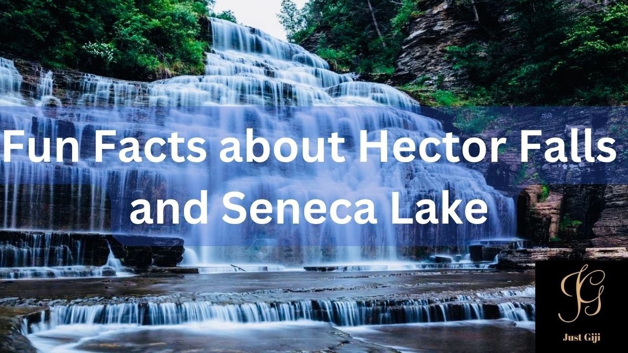 Fun Facts about Hector Falls and Seneca Lake in the Finger Lakes! 4K