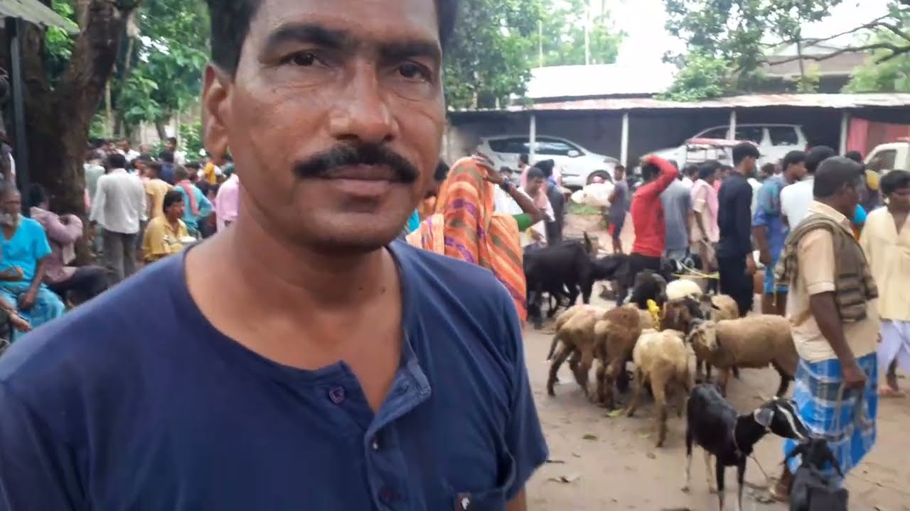 পূর্ব বর্ধমান জেলার বিবিরহাটে খুব সস্তায় বিক্রি হলো ছাগল, ভেড়া,হাঁস, মুরগী, পায়রা ও খরগোশ//Market
