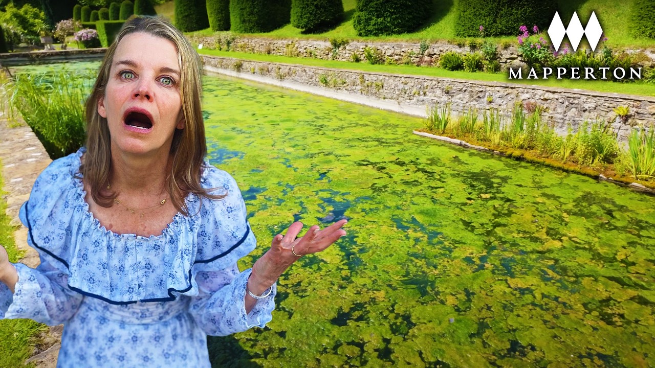 Our 18th Century Pool Nightmare Returns… Is This the End?