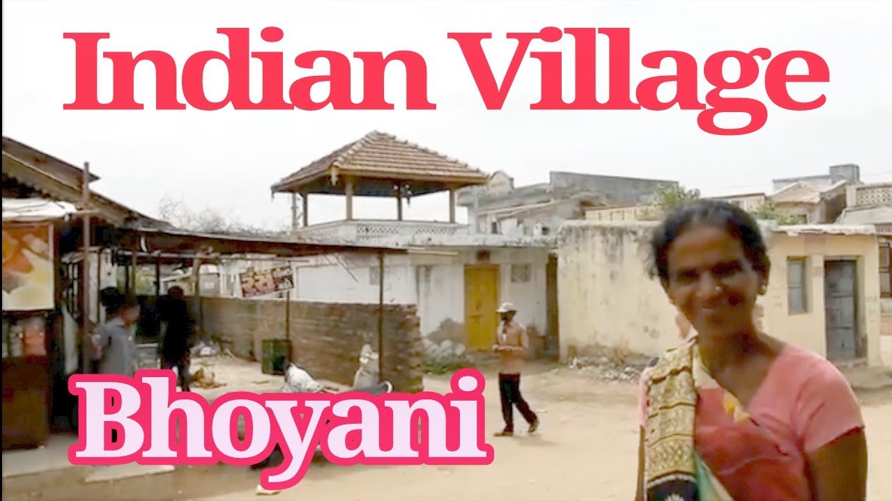 Padmavati Nagari in it's old days Bhoyani Indian village life morning, buffalo ભોયણી પદ્માવતી નગરી