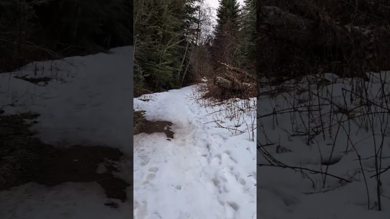 A light snow layer for traction
