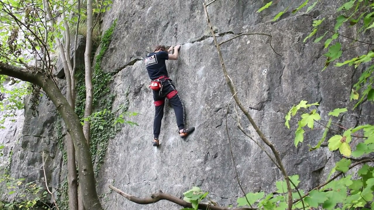 Horse Nails 7a