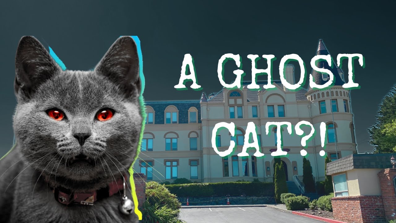 Manresa Castle | A Ghost Hunting Documentary Filmed In Port Townsend, Washington