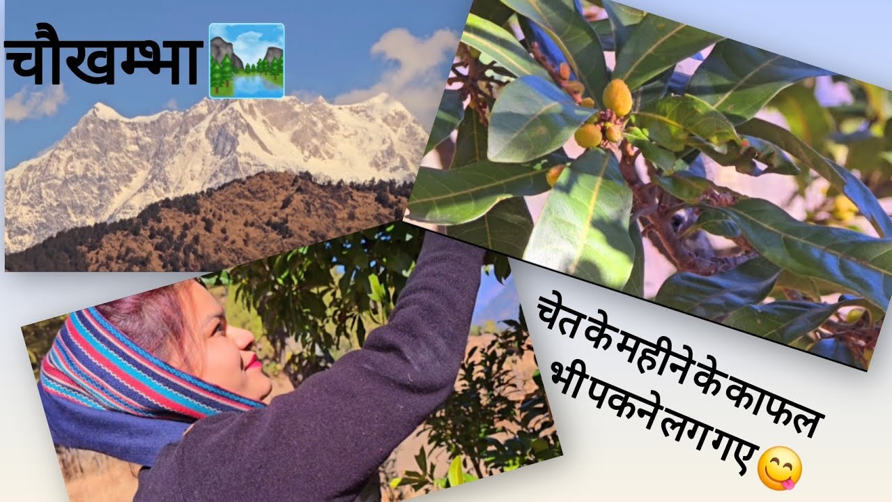 गांव के ऊपर से दिखता है चोखम्बे पर्वत के खुबसूरत से नज़ारे 🌄🏔️🗻🗻#pahadibwari #pahadilifestyle 