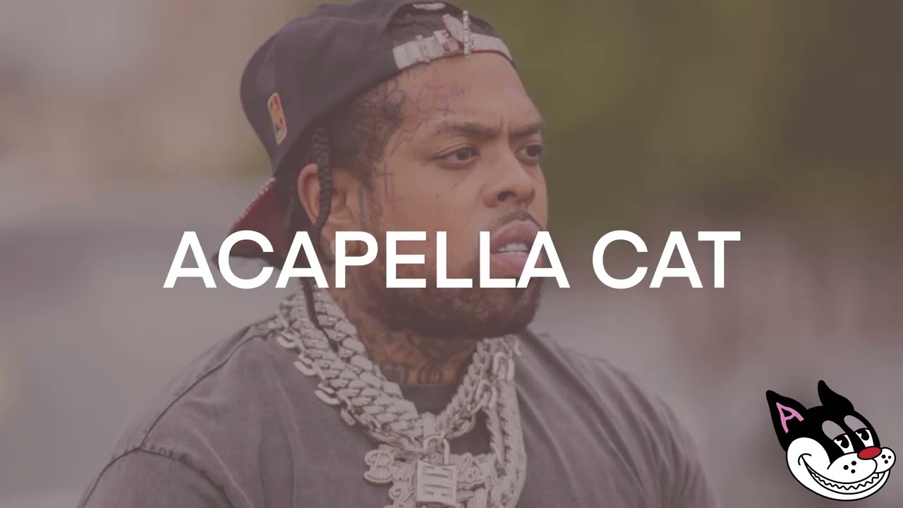Westside Gunn - 327 Acapella 80 BPM - 4K Acapella Cat