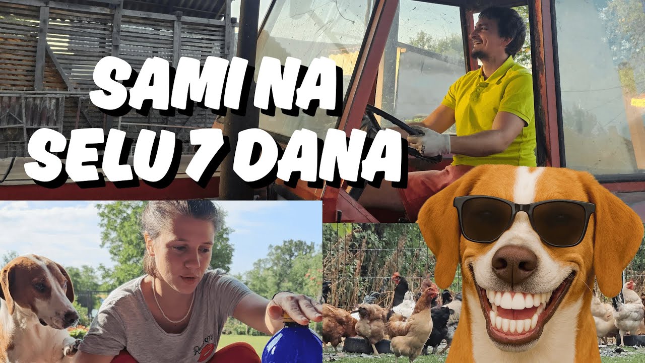 Jedan dan na selu 🚜 | 7 dana sa životinjama + kako smo udomili Simu psa 🐕❤️