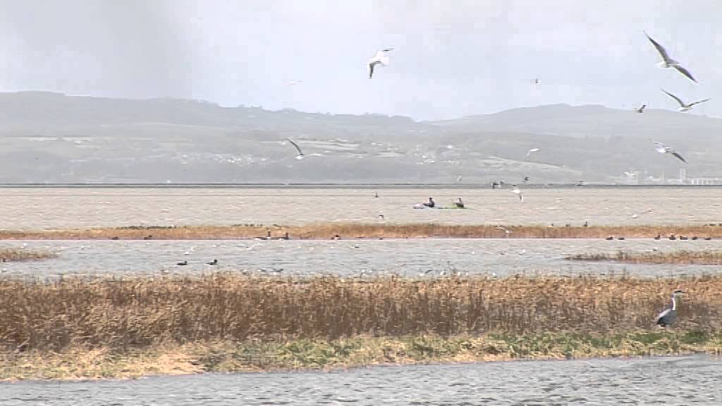 Parkgate - High Tide
