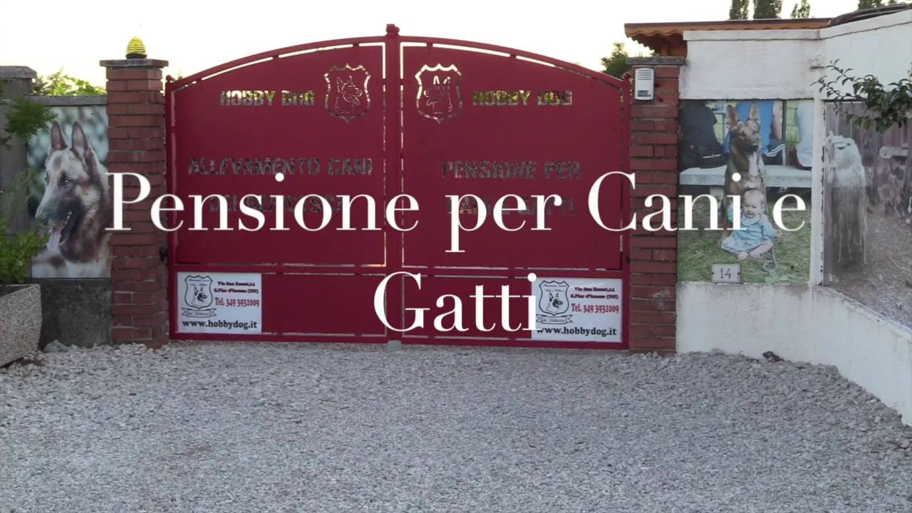PENSIONE CANI E GATTI - HOBBY DOG