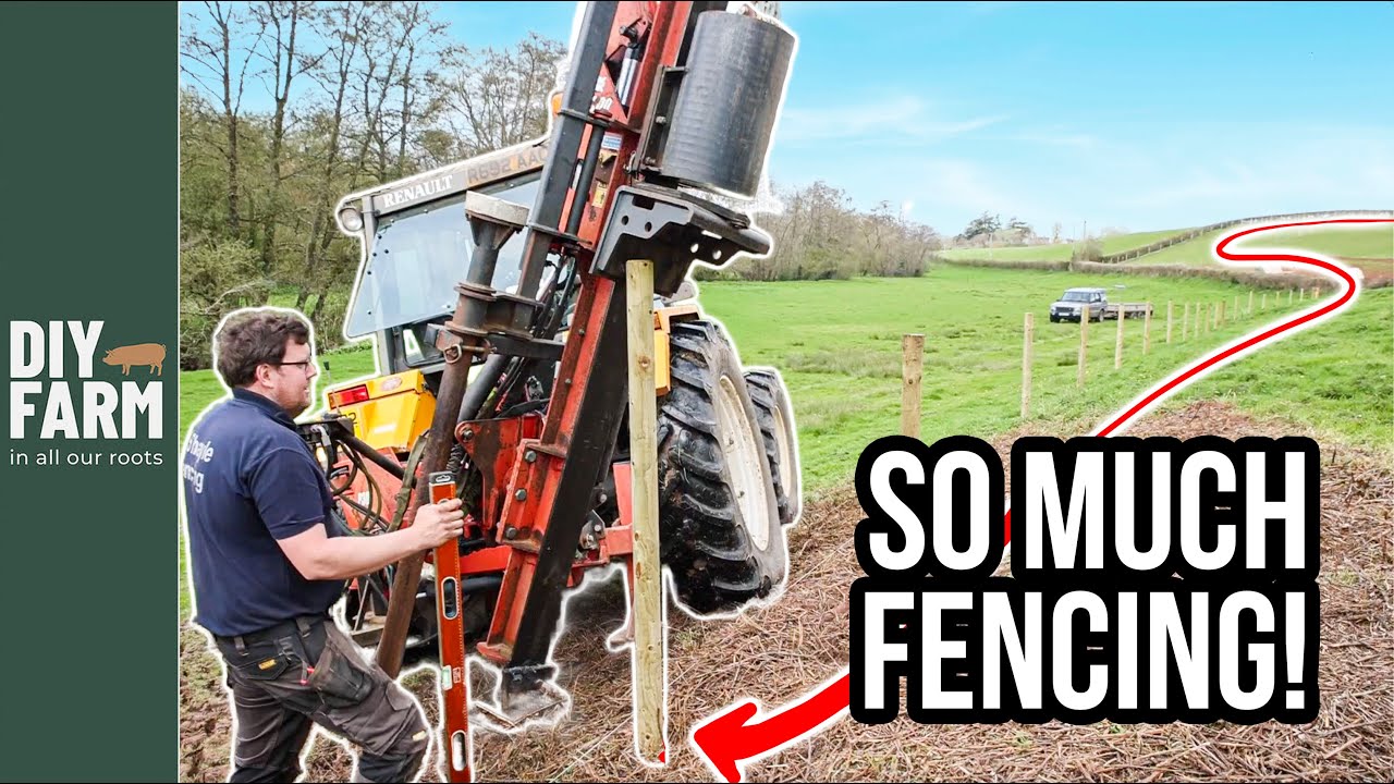 FENCING OUR WHOLE FARM - HUGE CHALLENGE for YEAR 2