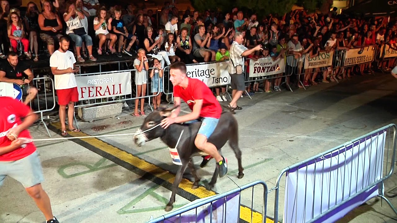 International donkey race - Tisno 2017