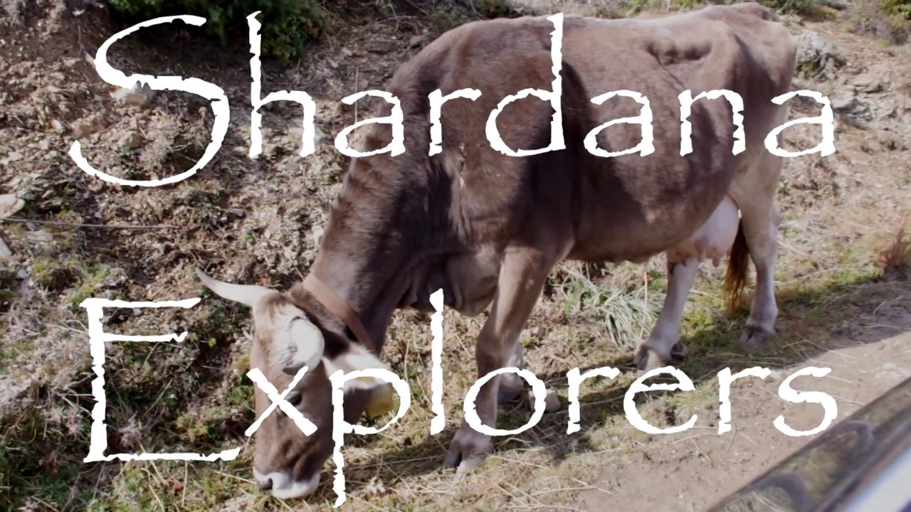 Shardana Explorers #5 - Foresta di Montarbu - Seui