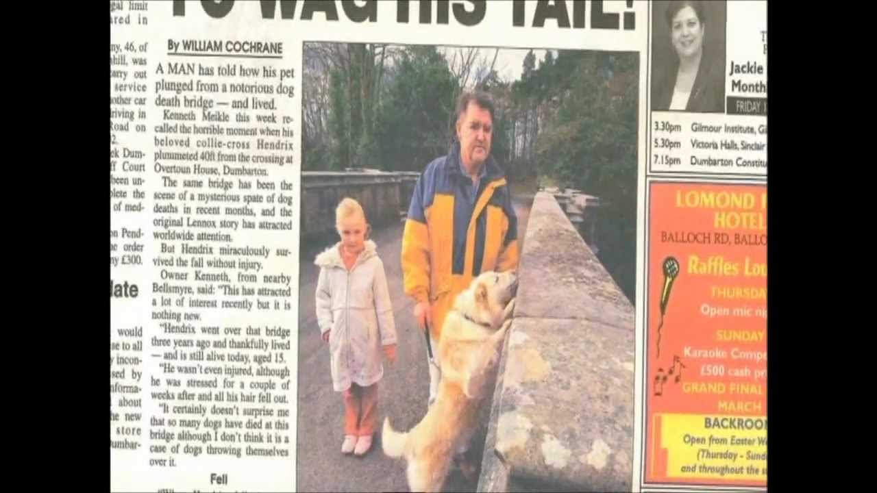 DOGS DON'T DO SUICIDE  (WILD CASE FILES) DR  DAVID SANDS UPDATES THE OVERTOUN BRIDGE STORY