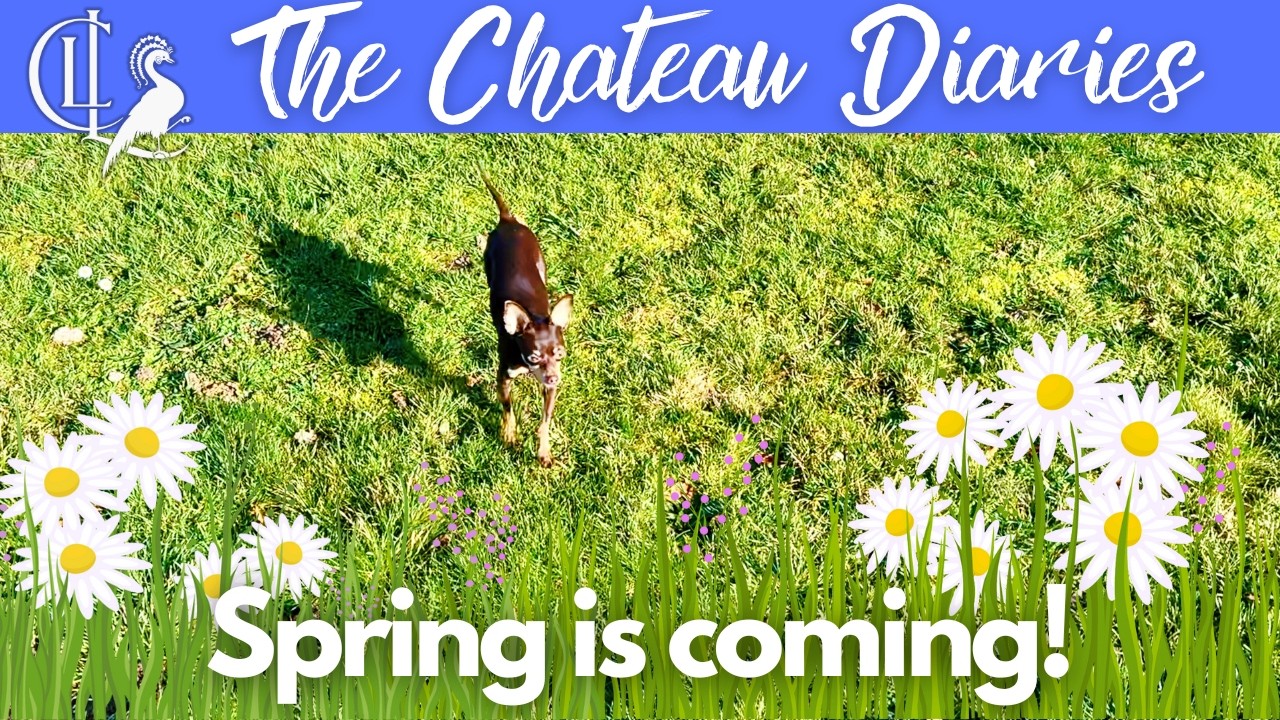 The First Signs of SPRING at the Chateau! 🏰🌼
