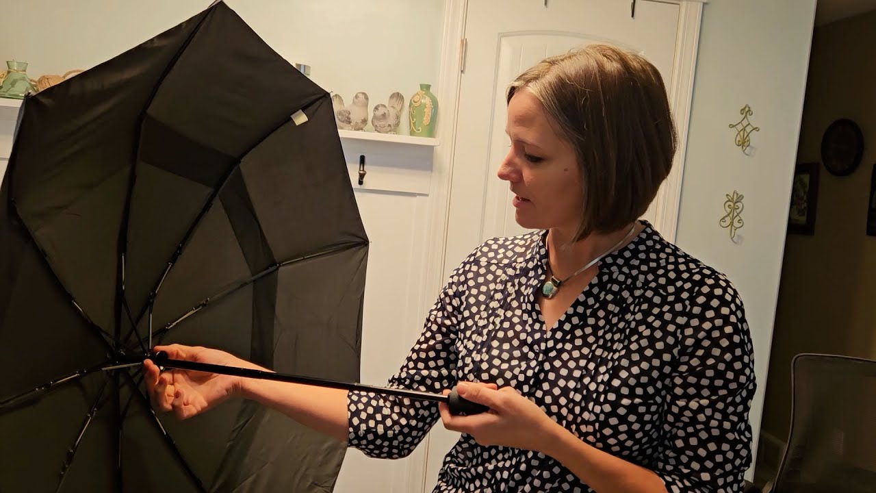 Review for Repel Umbrella Windproof Travel Umbrellas for Rain