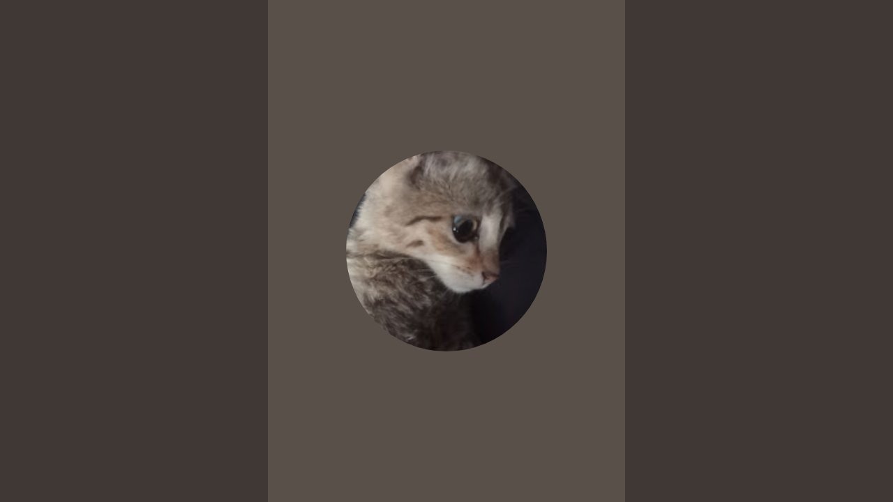 poon_nu  is live!