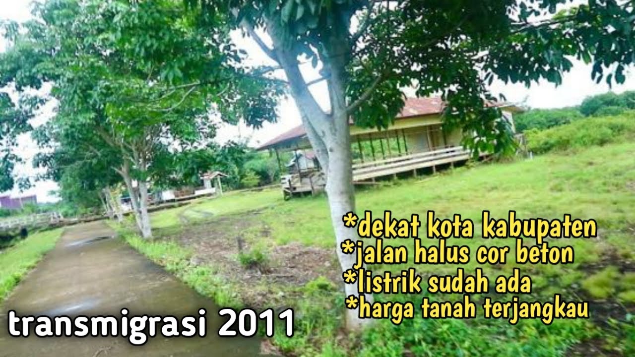 KONDISI TRANSMIGRASI SUNGAI BESAR SETELAH UMUR 10TAHUN