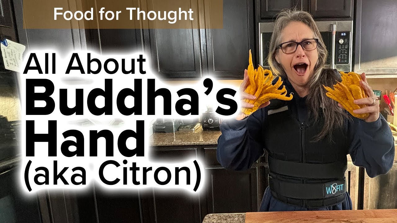 All About Buddha's Hand (Citron)