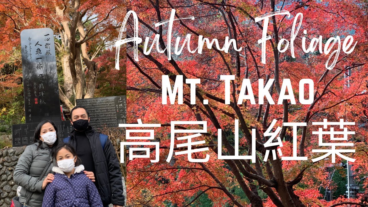 Mt. Takao Autumn Foliage | 高尾山紅葉