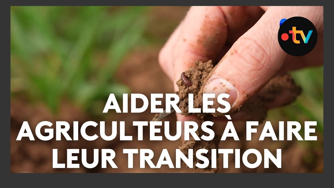 Une coopérative agricole soutient les exploitations qui pratiquent l'agriculture régénérative