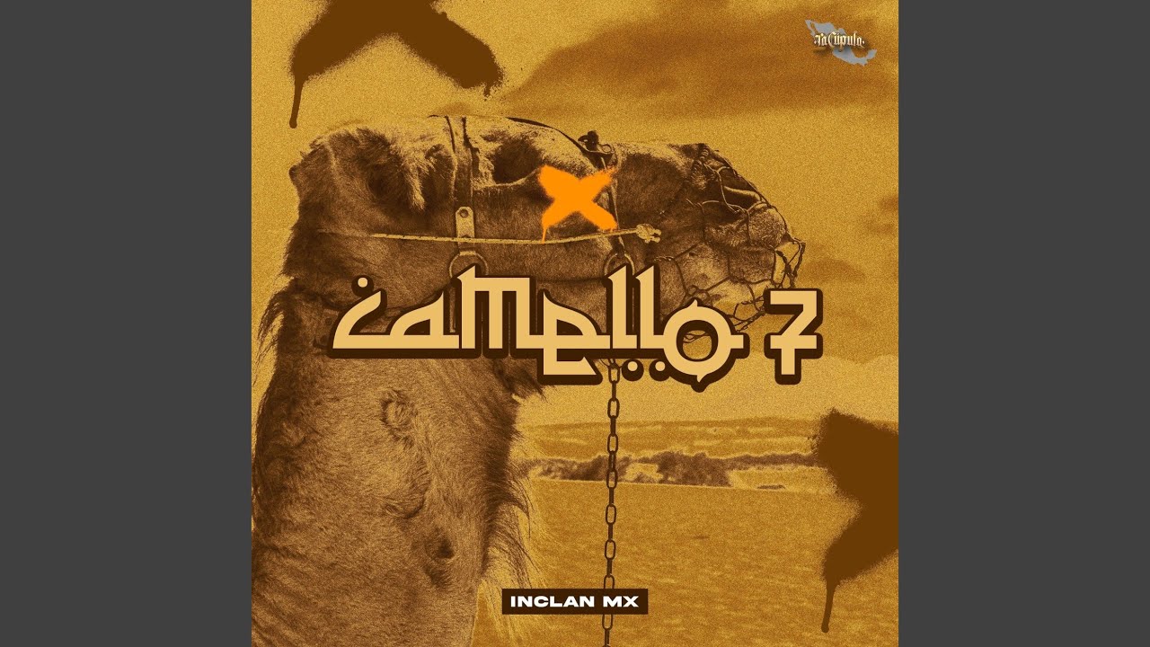 Camello 7