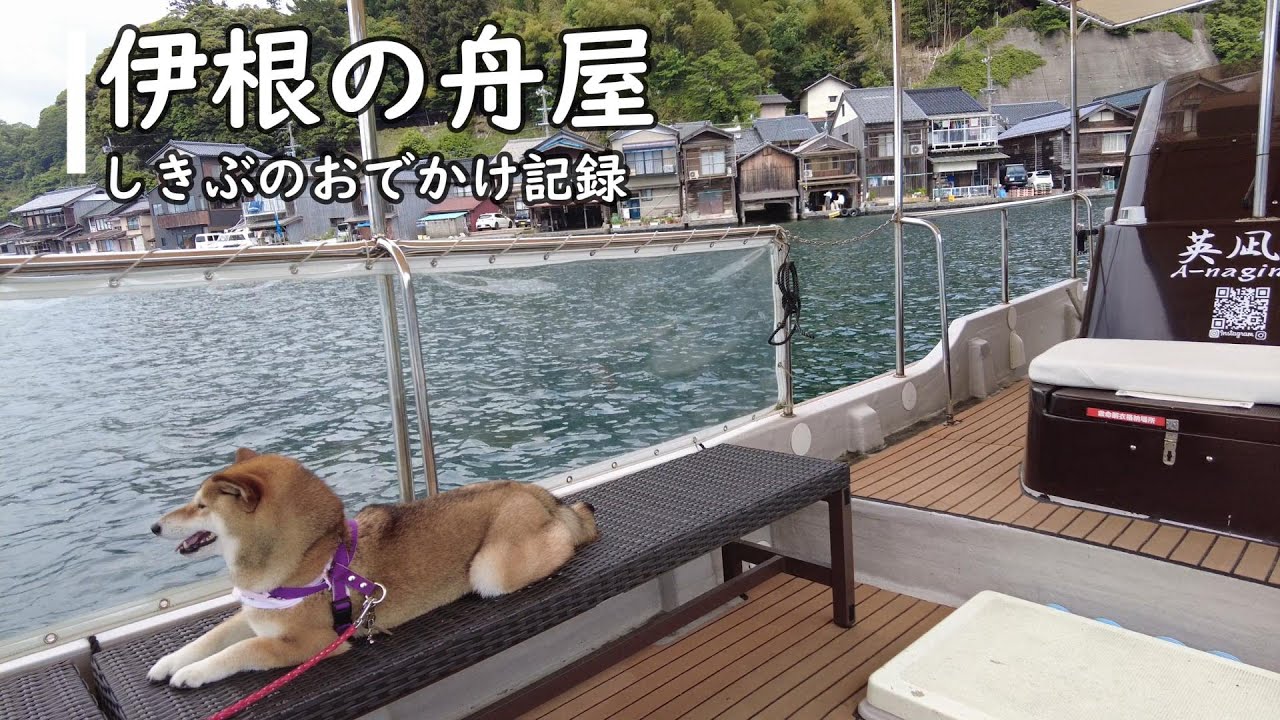 【愛犬と一泊二日】京都・伊根の舟屋と天橋立へ！愛犬との癒し旅Vlog