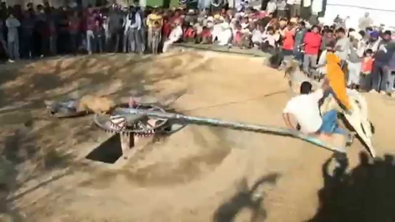 Pind Mazara Dingrian - Halt Diya Dhora at Pind Mazara Dingrian - Part 1