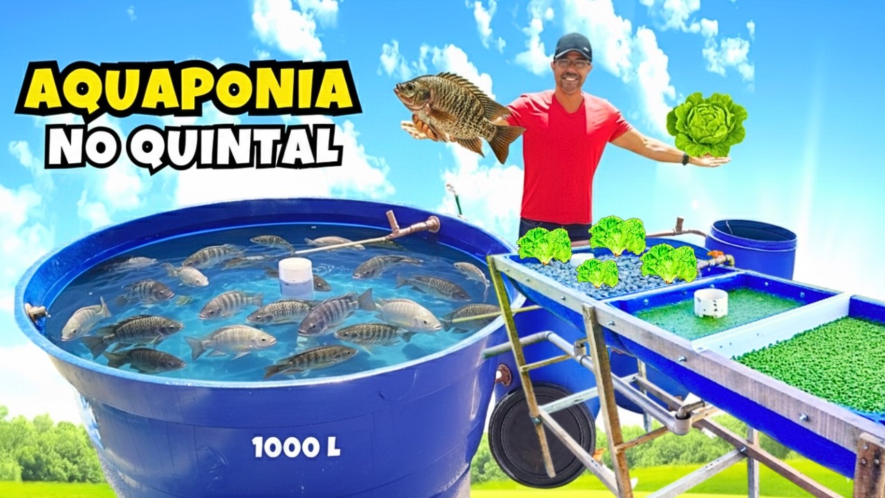 Como Fazer uma CAMA DE CULTIVO para Aquaponia com Tilápias (COMPLETO)