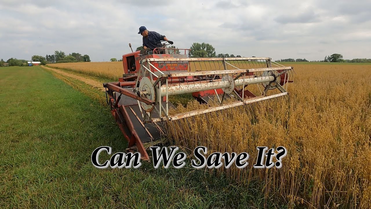 Restoring a 1974 Versatile Swather-Save Farm $