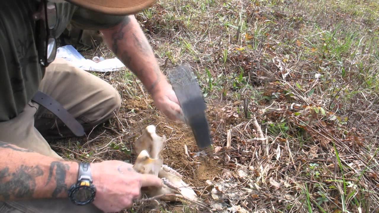 Modern Trapping Part 10 Flat Set with Visual Attractant