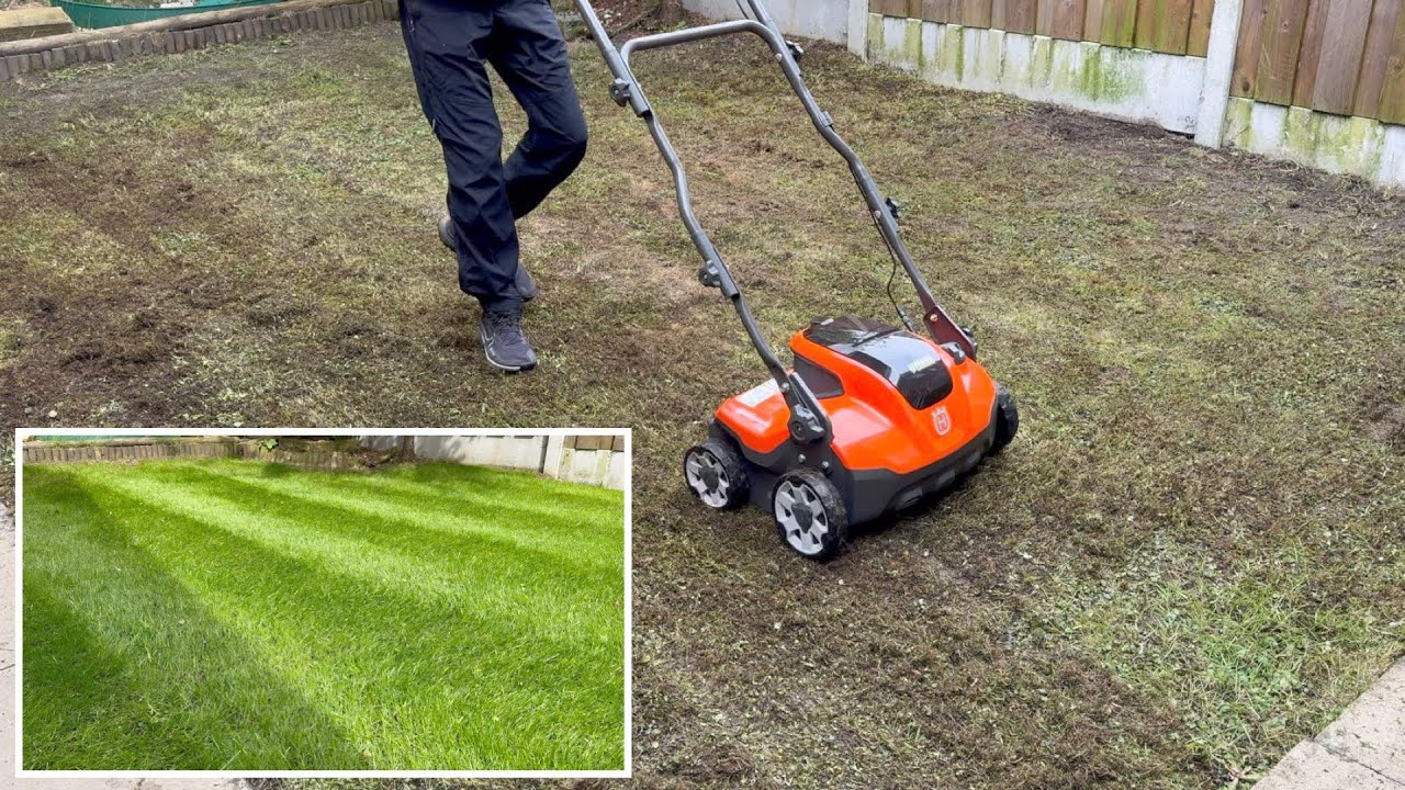 Lawn Renovation - Scarifying and Over-seeding with Results