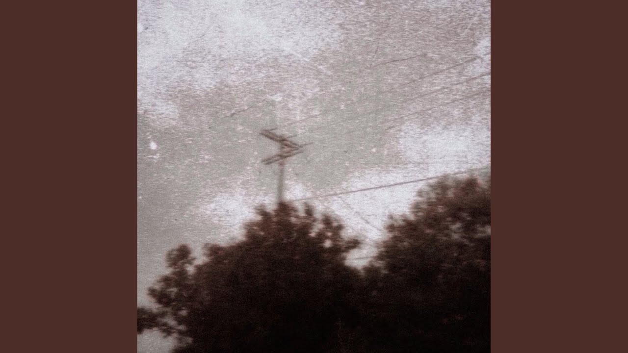 Treelines