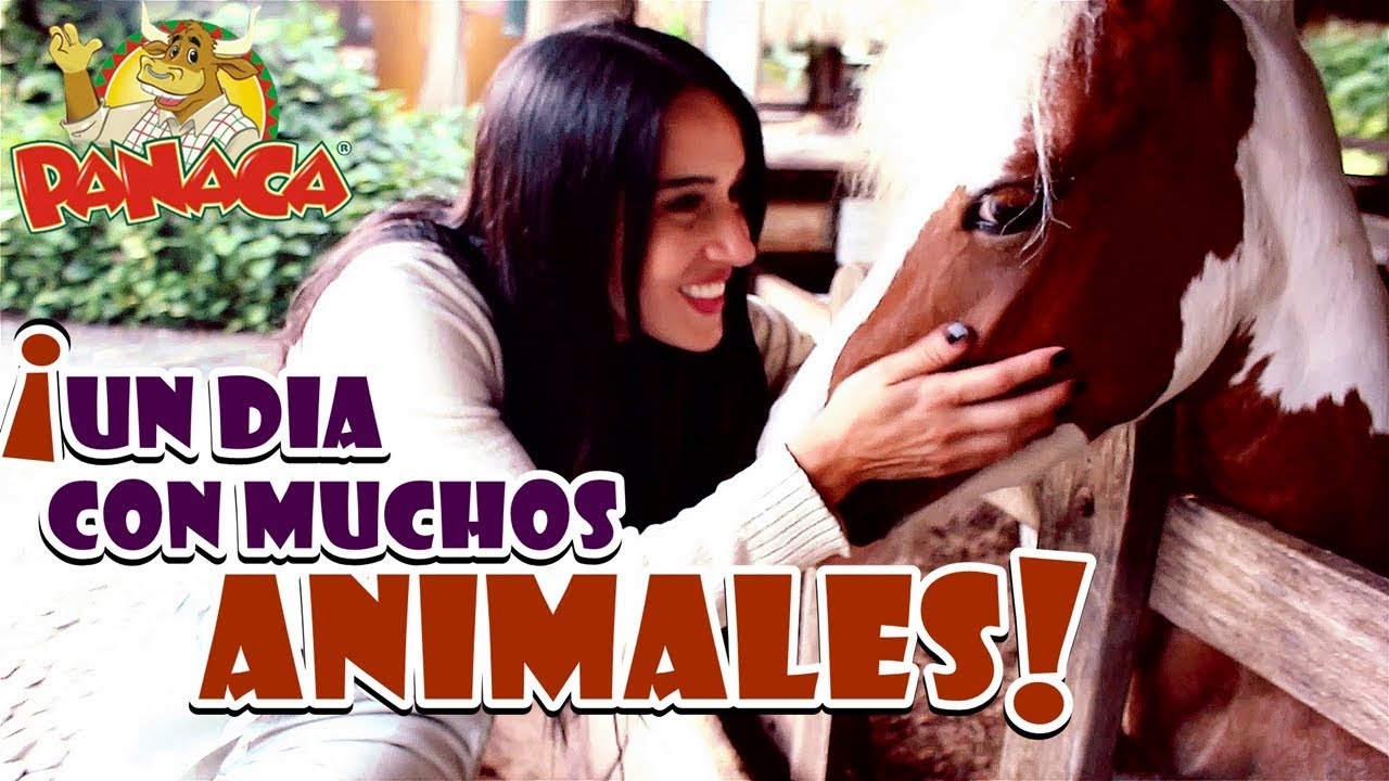 UN DÍA CON MUCHOS ANIMALES EN PANACA!