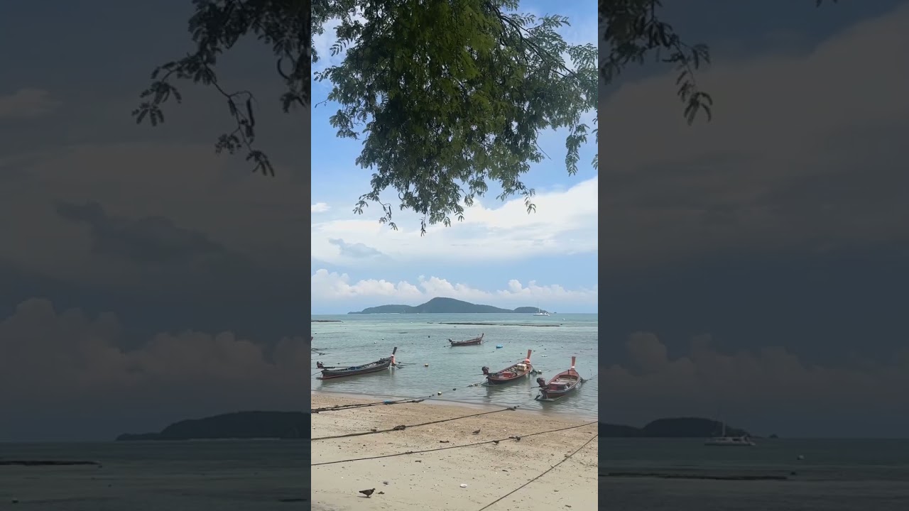 I Love This World | Blue Sky • Poems • Peace | English Bangla Hindi Song