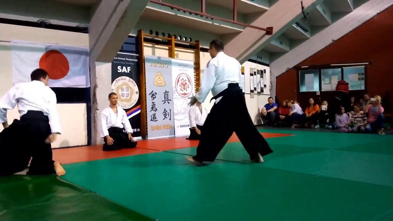 Sensei Novak Jerkov - AIKIDO - KodoKai seminar