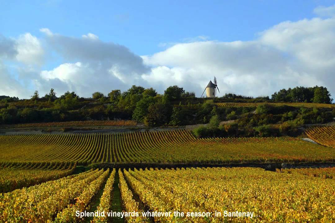 levigneron.net Self-catering and holiday cottage on Cote de Beaune in Burgundy.wmv