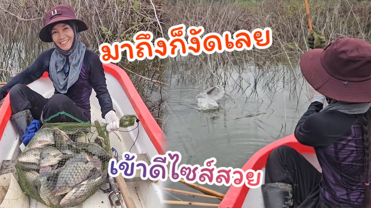 #ตกปลาคันไม้ไผ่ ถึงหมายก็งัดเลย เข้าดีและไซส์สวย ต้องช่วยกัน