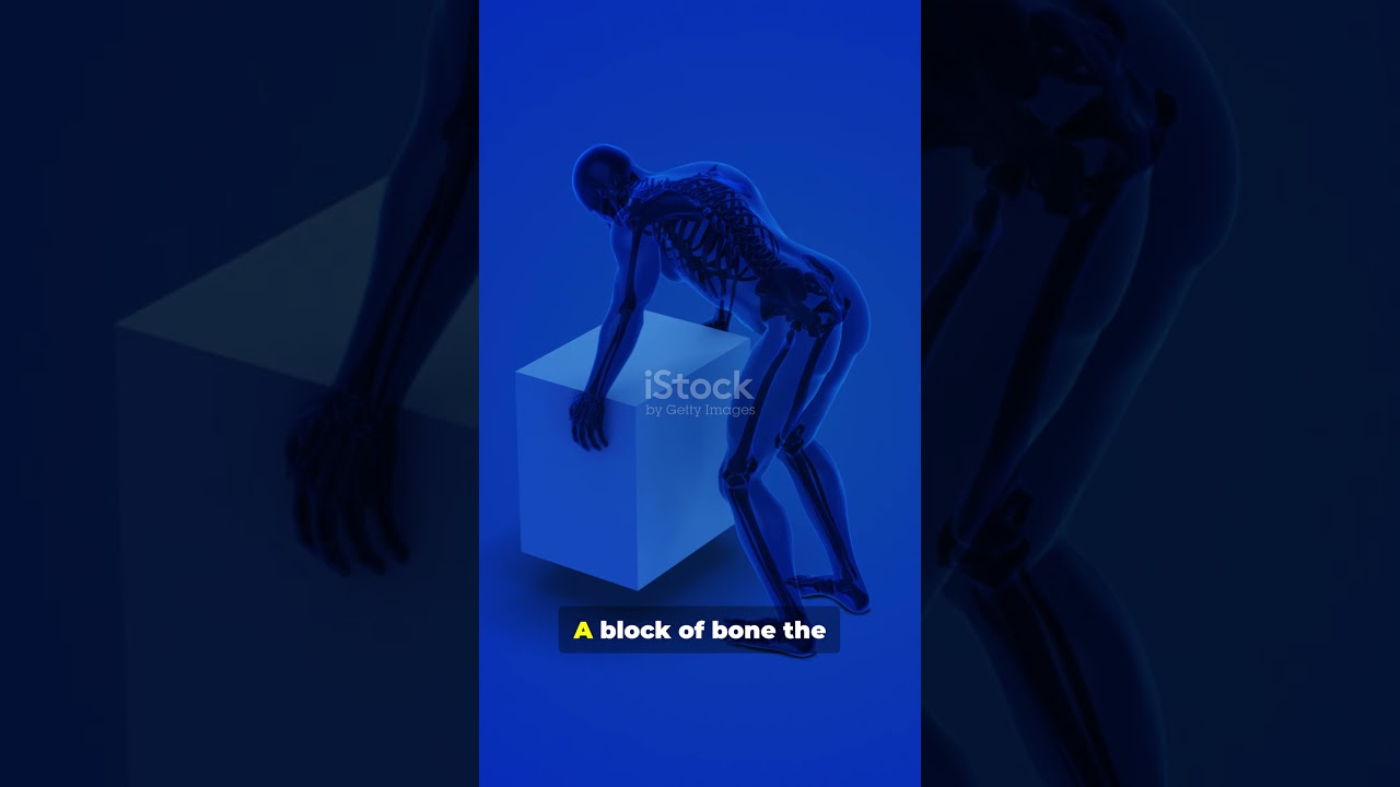 Your Bones Are Stronger Than Steel! 🦴⚡