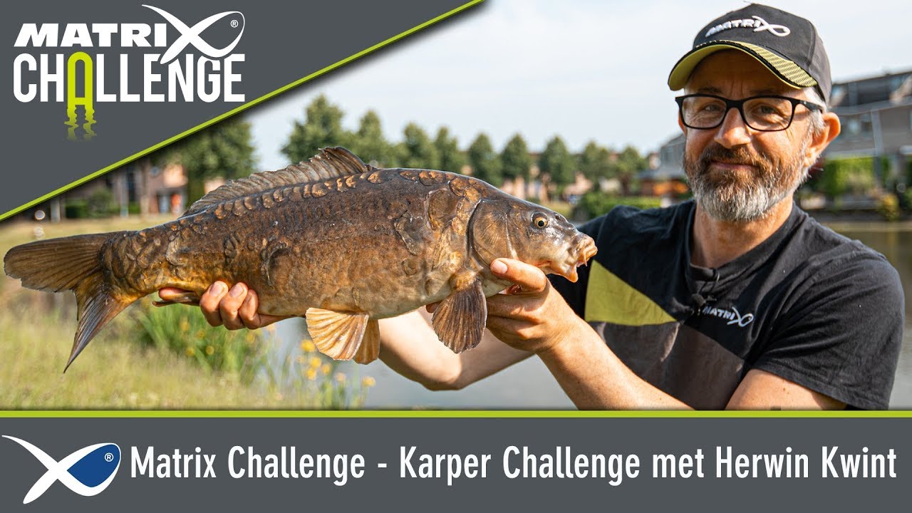 *** Benelux Match Fishing TV *** Matrix Challenge - Karper Challenge met Herwin Kwint
