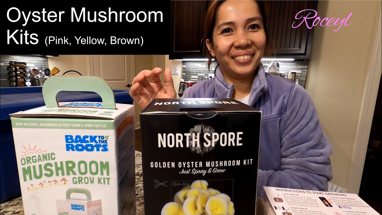 Yellow Pink and Brown Oyster Mushroom Kit From North Spore | Forest Origins | Back To The Roots