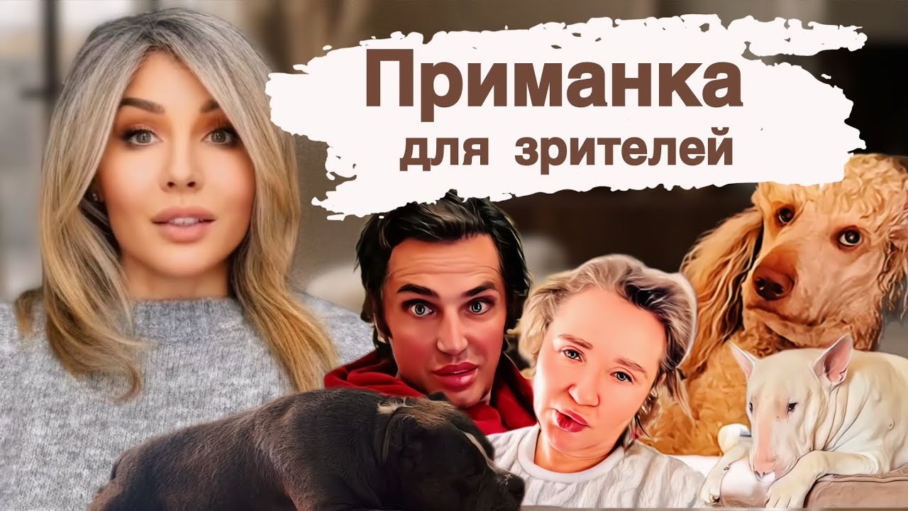 Руся в Америке 🇺🇸 Собаки как приманка #русяinamerica #русявамерике #рустамсолнцев #фрикиютуба #дом2 