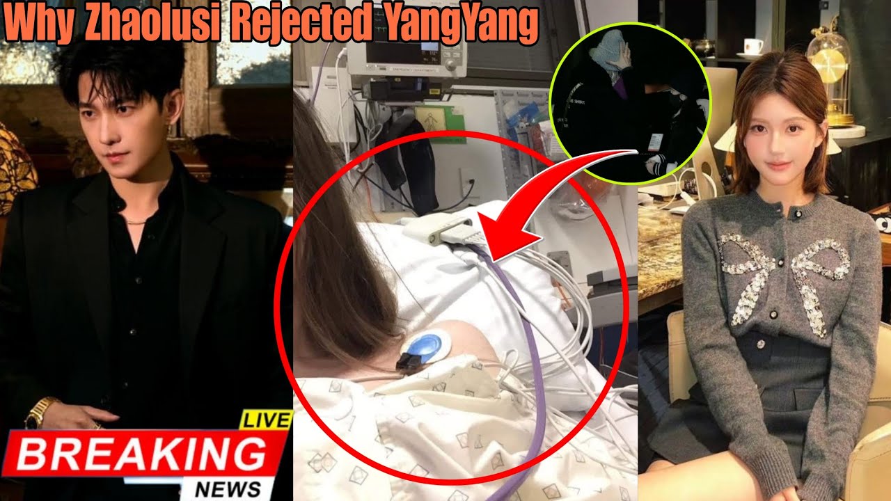 Why Zhaolusi Rejected YangYang