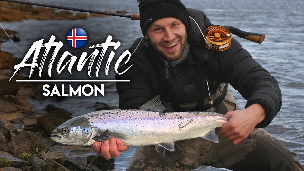 LAKSEFISKERI PÅ ISLAND - West Ranga med Zpey