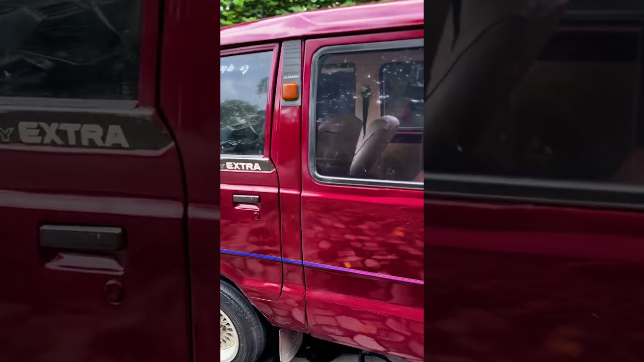 For Sale Suzuki Carry Adiputro Trepes Tahun 1989!!! Cukup 19juta Saja
