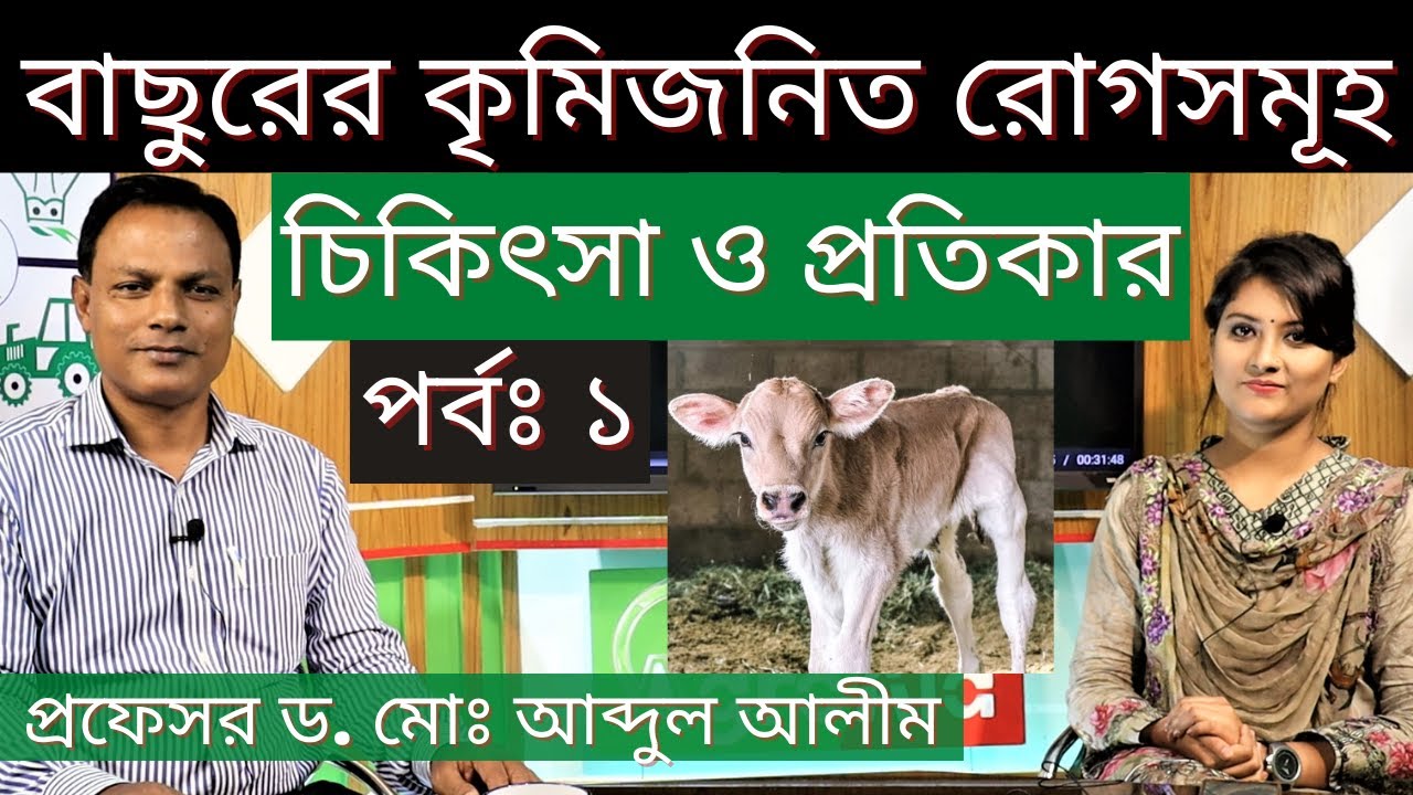 পর্বঃ ১ - বাছুরের কৃমিজনিত রোগসমূহ, চিকিৎসা ও প্রতিকার - প্রফেসর ড. মোঃ আব্দুল আলীম #Agroaid