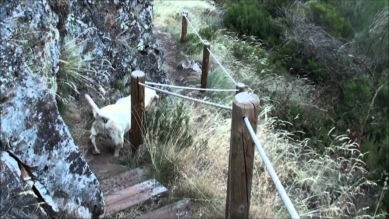Pinturas Rupestres de Sésamo.  El Bierzo