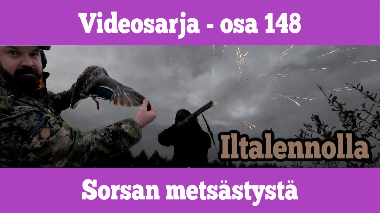 Osa 148 - Sorsaa iltalennolta - 2021/2022