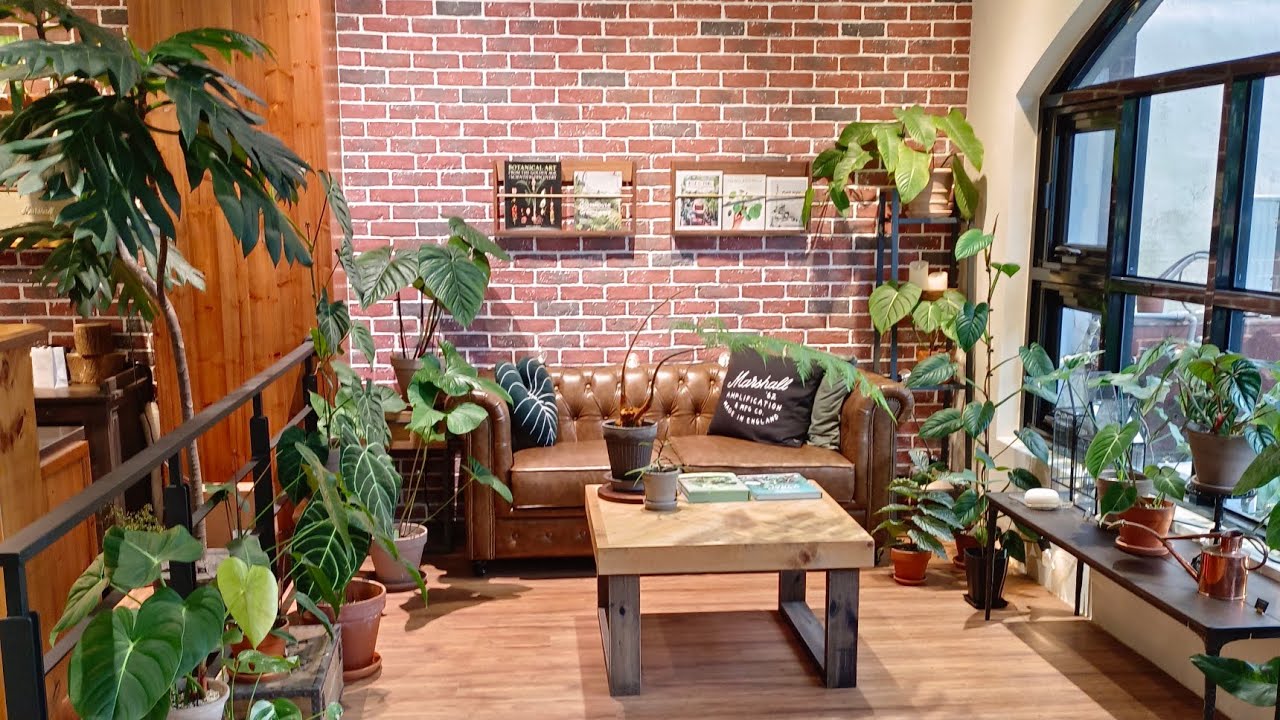 超強的室內植物店~質感很好的一家植物店加上舒適的環境很讚耶