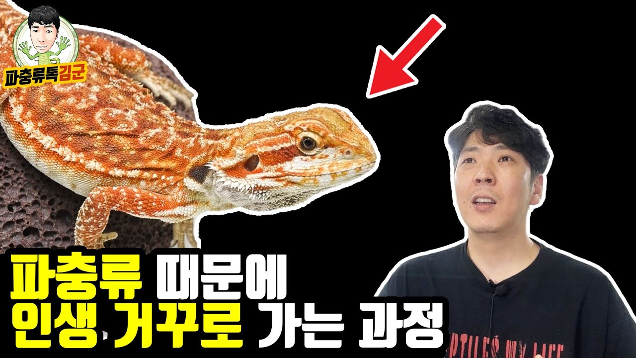 파충류는 왜 취미에서 끝나지 않는 사람들이 많을까?