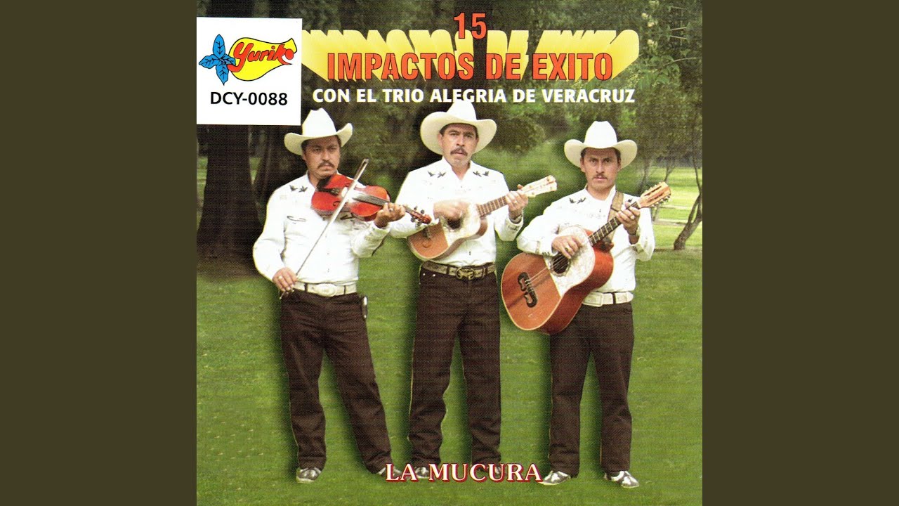 Las Casas De Madera