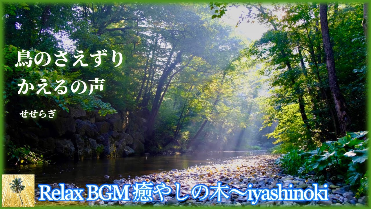 田舎の癒し音。鳥のさえずり、かえるの鳴き声、小川のせせらぎ、で癒しとリラックス。Countryside healing sound. Bird chirping. Frog voice. River.